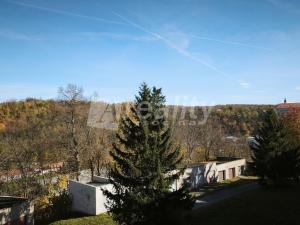 Pronájem bytu 1+1, Náměšť nad Oslavou, 33 m2