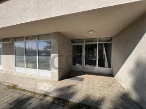 Pronájem bytu 1+kk, Brno - Lesná, Halasovo náměstí, 21 m2