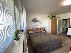 Pronájem bytu 1+kk, Slavkov u Brna, Zelnice II., 39 m2