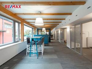 Pronájem kanceláře, Praha - Hodkovičky, Pod kopcem, 700 m2