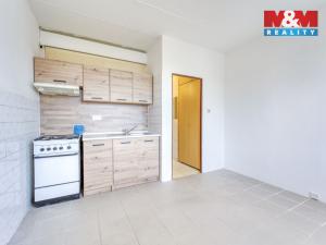 Pronájem bytu 1+1, Horní Bříza, Komenského, 39 m2