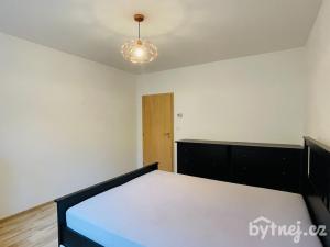 Pronájem bytu 2+kk, Zastávka, Havířská, 58 m2