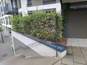 Pronájem obchodního prostoru, Praha - Žižkov, Olgy Havlové, 71 m2