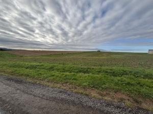 Prodej pozemku pro bydlení, Lhotka u Radnic, 655 m2