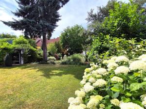 Pronájem bytu 2+kk, Písek - Budějovické Předměstí, Tylova, 67 m2