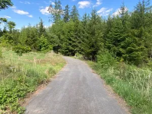 Dražba pozemku, Kladruby nad Labem, 698 m2