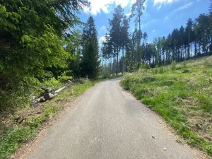 Dražba pozemku, Kladruby nad Labem, 698 m2