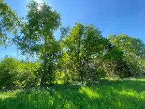 Dražba lesa, Kropáčova Vrutice, 15167 m2