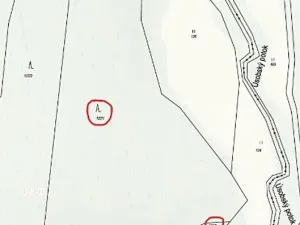 Prodej lesa, Havlíčkův Brod, 12933 m2