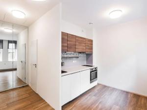 Pronájem bytu 2+kk, Praha - Vinohrady, Lucemburská, 50 m2