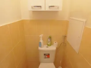 Prodej bytu 2+1, Praha, Hasova, 56 m2