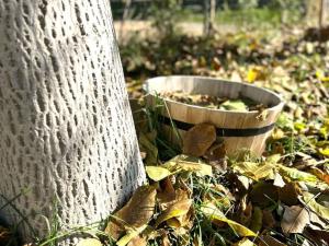 Prodej rodinného domu, Jiřice u Moravských Budějovic, 137 m2