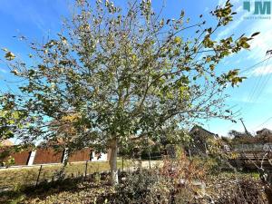 Prodej rodinného domu, Jiřice u Moravských Budějovic, 137 m2