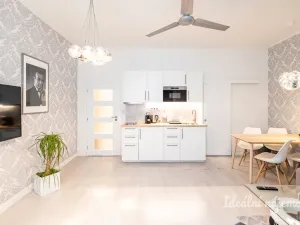 Pronájem bytu 2+kk, Praha - Nové Město, Opletalova, 42 m2