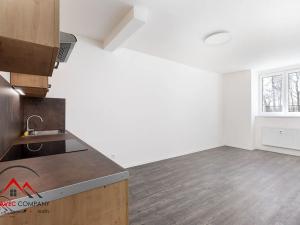 Pronájem bytu 1+kk, Ostrava, Palackého, 30 m2