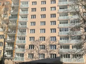 Prodej bytu 2+1, Plzeň, Elišky Krásnohorské, 62 m2