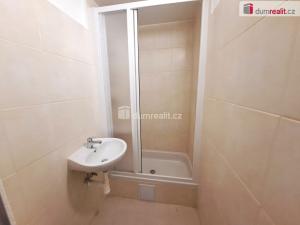 Pronájem bytu 1+kk, Ústí nad Labem - Ústí nad Labem-centrum, Masarykova, 44 m2