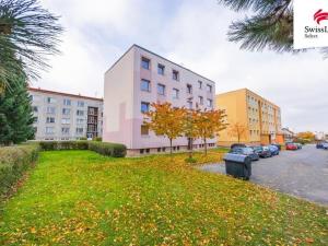 Pronájem bytu 3+1, Opočno, Krátká, 62 m2