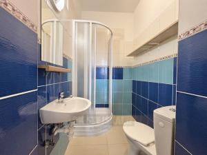 Pronájem bytu 1+kk, České Budějovice - České Budějovice 4, Dobrovodská, 19 m2