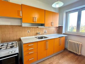 Pronájem bytu 2+1, Cheb, Palackého, 50 m2