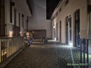 Pronájem obchodního prostoru, Praha - Nové Město, Opletalova, 100 m2