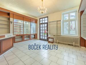 Pronájem obchodního prostoru, Hořovice, Palackého náměstí, 161 m2