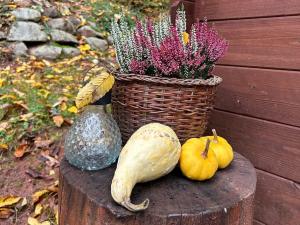 Prodej chaty, Bradlecká Lhota, 62 m2