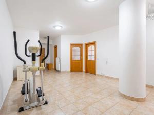 Prodej bytu 4+kk, Brno, 167 m2