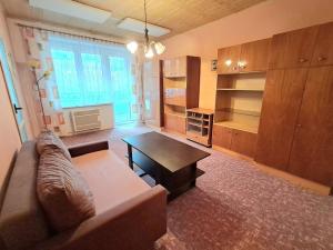 Pronájem bytu 2+1, Velké Opatovice, Pod Strážnicí, 55 m2