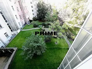 Pronájem bytu 4+kk, Praha - Vinohrady, Na Švihance, 140 m2