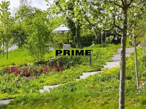 Pronájem bytu 4+kk, Praha - Smíchov, Holečkova, 178 m2