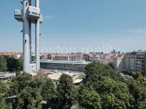 Pronájem bytu 2+1, Praha - Žižkov, Fibichova, 72 m2