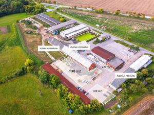 Pronájem pozemku, Zámrsk - Nová Ves, 1190 m2