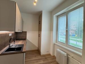 Pronájem bytu 1+1, Příbram - Příbram VII, Prof. Skupy, 35 m2