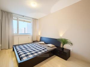 Pronájem bytu 2+kk, České Budějovice - České Budějovice 3, Staroměstská, 50 m2