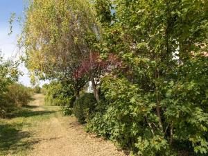 Pronájem bytu 3+kk, Praha - Dolní Měcholupy, V osikách, 75 m2