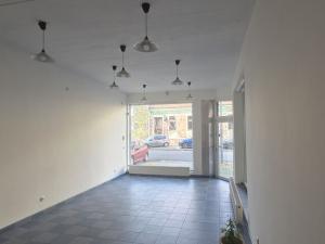 Pronájem obchodního prostoru, Hodonín, Štefánikova, 50 m2