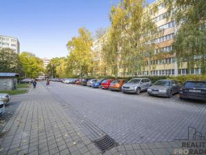 Pronájem bytu 1+kk, Pardubice, Ohrazenická, 28 m2