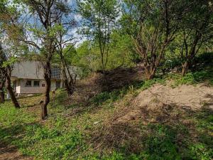 Prodej pozemku pro bydlení, Veliny, 3712 m2