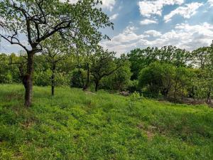 Prodej pozemku pro bydlení, Veliny, 3712 m2