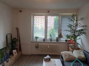 Pronájem bytu 2+1, Krnov - Pod Bezručovým vrchem, Rooseveltova, 54 m2