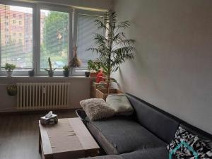 Pronájem bytu 2+1, Krnov - Pod Bezručovým vrchem, Rooseveltova, 54 m2