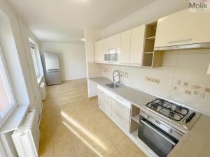 Pronájem bytu 2+1, Most, Petra Jilemnického, 55 m2