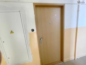 Pronájem bytu 2+1, Most, Petra Jilemnického, 55 m2