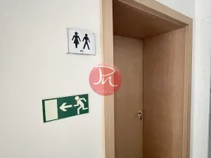 Pronájem kanceláře, Ostrava, Kutuzovova, 78 m2