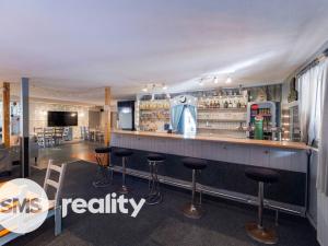 Prodej restaurace, Frýdek-Místek - Skalice, 500 m2