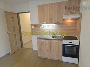 Pronájem bytu 1+kk, Opava, Hany Kvapilové, 30 m2