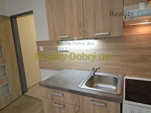 Pronájem bytu 1+kk, Opava, Hany Kvapilové, 30 m2