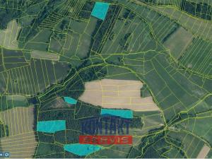Prodej lesa, Budětice - Vlkonice, 32746 m2