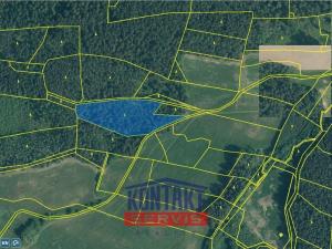 Prodej lesa, Budětice - Vlkonice, 32746 m2